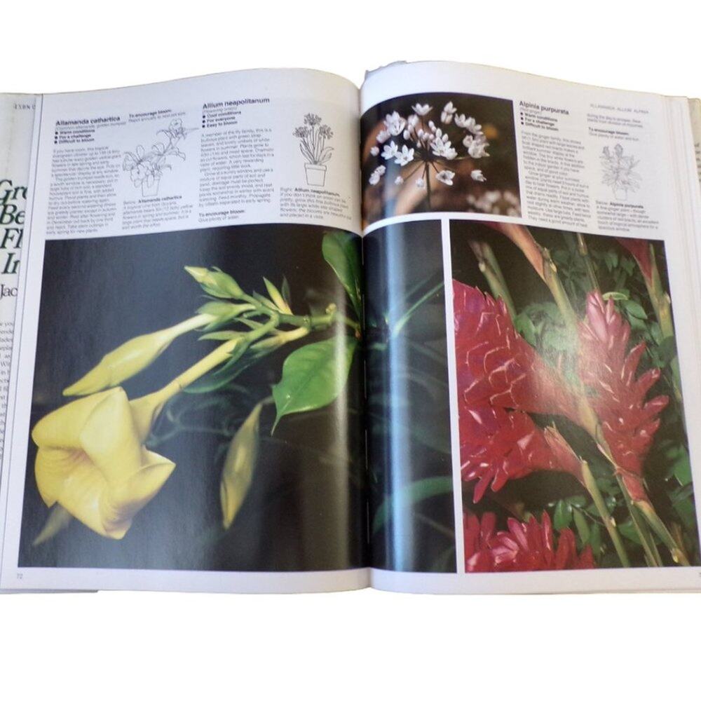 Growing Beautiful Flowers Indoors Book by Jack Kramer - Picture 3 of 4